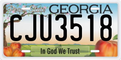 GA license plate CJU3518