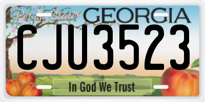 GA license plate CJU3523