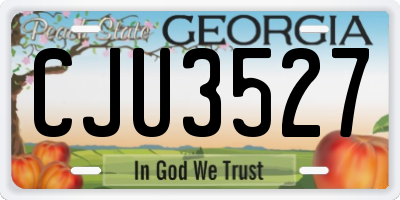 GA license plate CJU3527