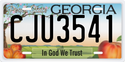 GA license plate CJU3541