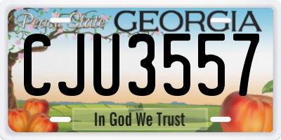 GA license plate CJU3557