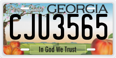 GA license plate CJU3565