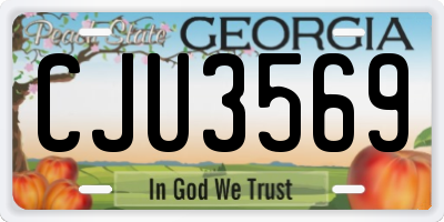 GA license plate CJU3569