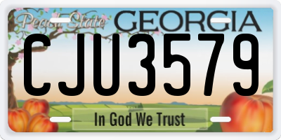 GA license plate CJU3579
