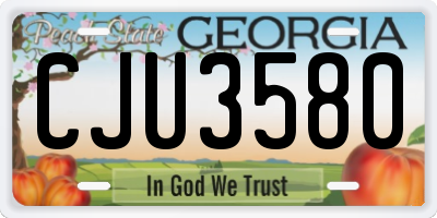 GA license plate CJU3580