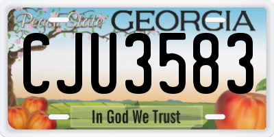 GA license plate CJU3583