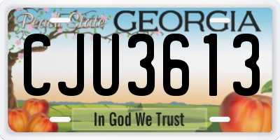 GA license plate CJU3613