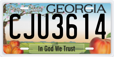 GA license plate CJU3614
