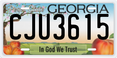 GA license plate CJU3615