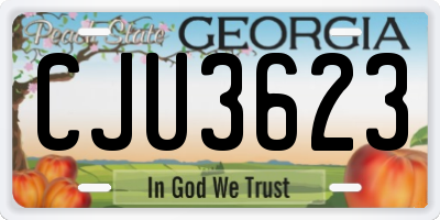 GA license plate CJU3623