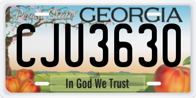 GA license plate CJU3630