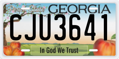 GA license plate CJU3641