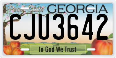 GA license plate CJU3642