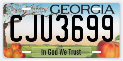 GA license plate CJU3699