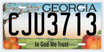 GA license plate CJU3713