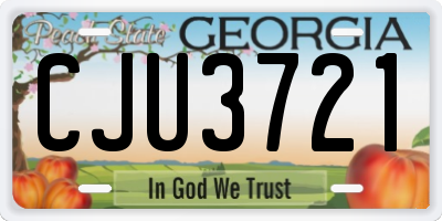 GA license plate CJU3721