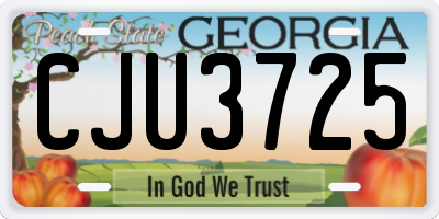 GA license plate CJU3725