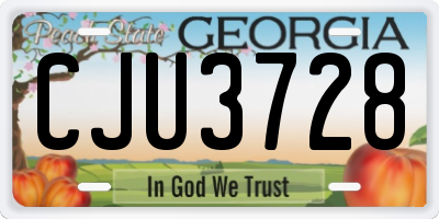 GA license plate CJU3728