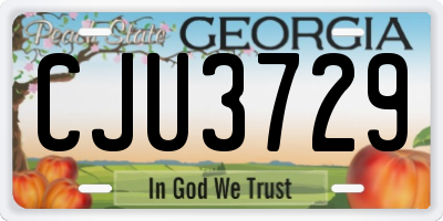 GA license plate CJU3729