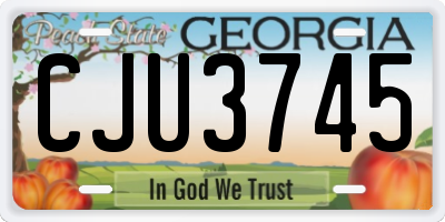 GA license plate CJU3745