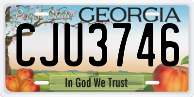 GA license plate CJU3746