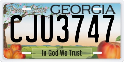 GA license plate CJU3747