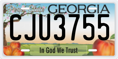 GA license plate CJU3755