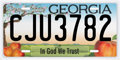GA license plate CJU3782