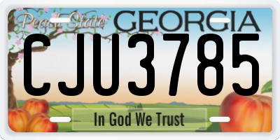 GA license plate CJU3785