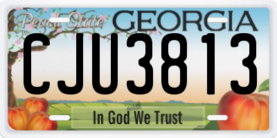 GA license plate CJU3813