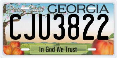 GA license plate CJU3822
