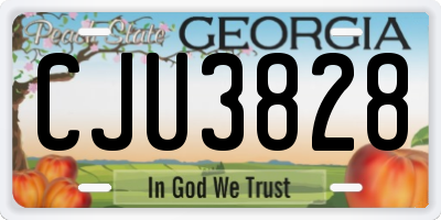 GA license plate CJU3828