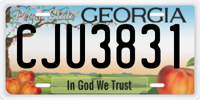 GA license plate CJU3831