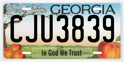 GA license plate CJU3839
