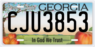 GA license plate CJU3853