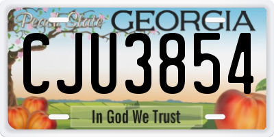 GA license plate CJU3854