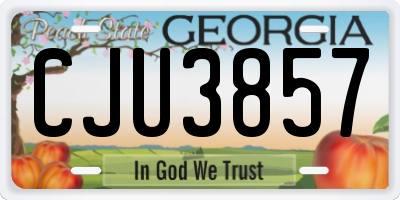 GA license plate CJU3857