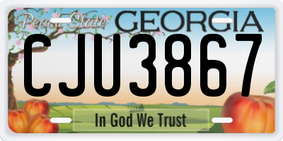 GA license plate CJU3867