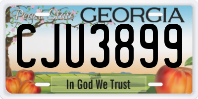 GA license plate CJU3899