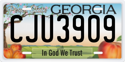 GA license plate CJU3909