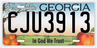 GA license plate CJU3913