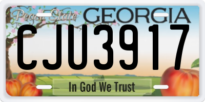 GA license plate CJU3917