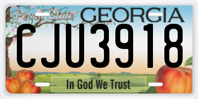 GA license plate CJU3918