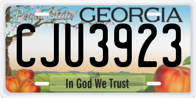 GA license plate CJU3923
