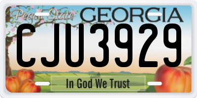 GA license plate CJU3929