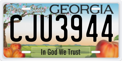 GA license plate CJU3944