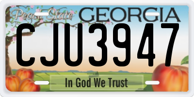 GA license plate CJU3947
