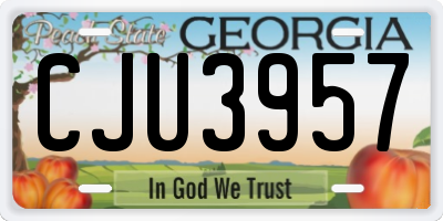 GA license plate CJU3957