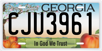 GA license plate CJU3961