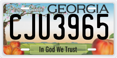 GA license plate CJU3965